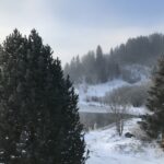 View from the window