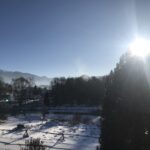 View from the window